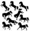 Horses silhouettes