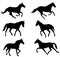 Horses silhouettes collection