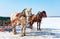 Horses with sledges at the bank of frozen river