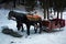 Horses and sleigh carriage in winter