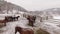 Horses in the snow in a corral, aerial view Russia