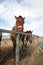 Horses in the stables of an outdoor farm in northern China