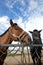 Horses in the stables of an outdoor farm in northern China