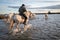 Horses and style of life in Camargue