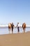 Horses on surf beach