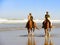 Horses on surf beach