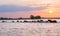 Horses swim across the river at sunset.