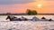 Horses swim across the river at sunset.