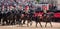 Horses taking part in the Trooping the Colour military parade, London UK