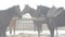 Horses tethered to the hitching post in the winter in heavy fog.