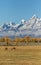 Horses in the Tetons in fall
