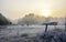 Horses in their corral on a frosty November morning.