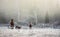 Horses in their corral on a frosty November morning.