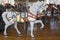 Horses on a traditional fairground Jane\'s carousel in Brooklyn