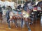 Horses on a traditional fairground Jane\'s carousel in Brooklyn
