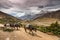 Horses of a trekker group on the Annapurna circuit trekking