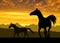 Horses under sunset