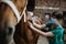 Horses and veterinary job