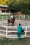 Horses and veterinary job