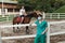 Horses and veterinary job