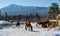 Horses in the village in the Ural Mountains