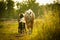 Horses walking in paddock