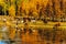 Horses by Water in Fall