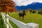 Horses and white fence on a ranch in British Columbia, Canad