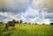 Horses with wind turbine