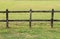 Horses wooden fence