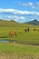 horses in WulanBu all grassland ancient battlefield