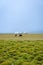 Horses and yurts by Song Kul lake, Kyrgyzstan