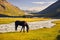 Horses ÑˆÑ‚ ÐµÑ€Ñƒ mountains of Kyrgyzstan