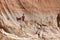 Horseshoe Canyon Pictographs