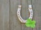 Horseshoe with cloverleaf background image