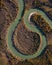 Horseshoe in Curve Chuya River in Altai Mountains, Russia.