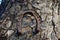 Horseshoe Lake Trailhead. Three old rusty horseshoes hanging on a tree trunk
