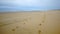 Horseshoe print, Beach, France