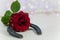 Horseshoe with red rose, good luck charm, birthday