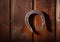 Horseshoe wooden background