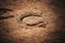 A horseshoe, worn on the hoof of a horse that ran through this area, was imprinted on the sand. Outdoor riding arena