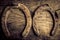 Horseshoes background