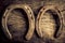 Horseshoes background