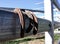 Horseshoes hanging on fence