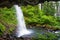 Horsetail Falls View