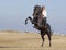 Horsewoman on the beach