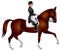 Horsewoman on a Dressage horse