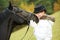 Horsewoman jockey in uniform with horse