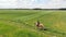 Horsewoman On A Palomino Horse Moving Across The Beautiful Farm Field -Cloudy Sky