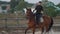 Horsewoman riding on brown horse and jumping the fence in sandy parkour riding arena. Competitive rider training jumping